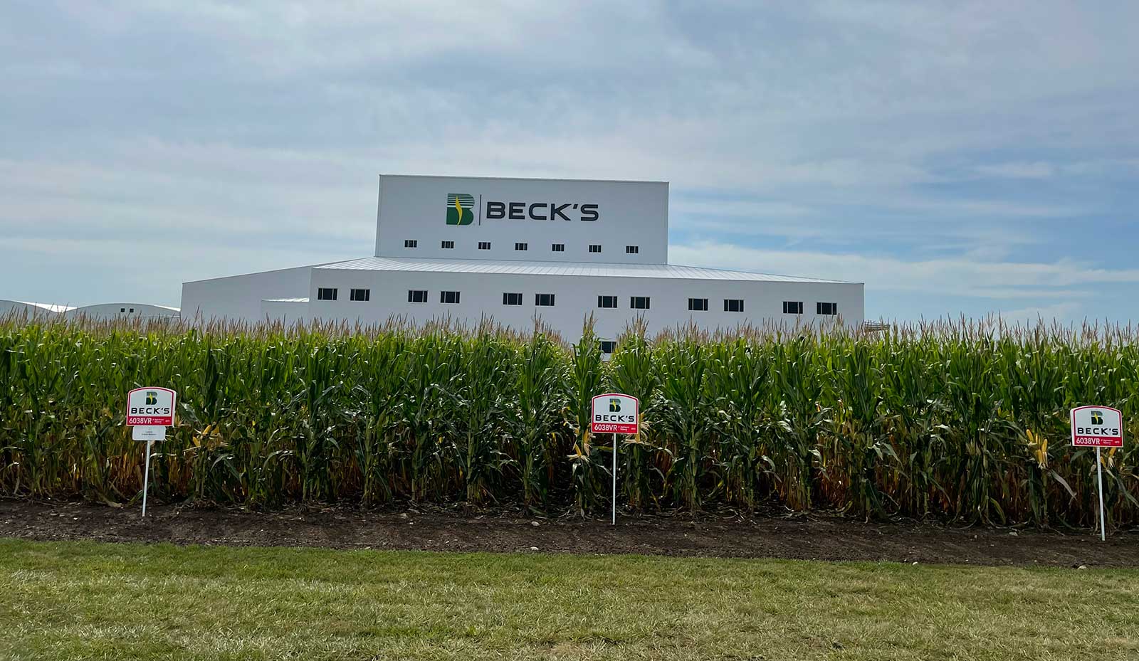 Beck's Seed Conditioning